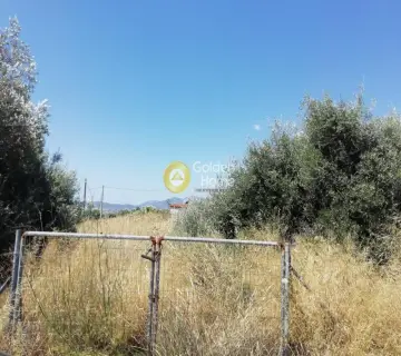 Οικιστικό 260τ.μ. προς πώληση φωτογραφία 2