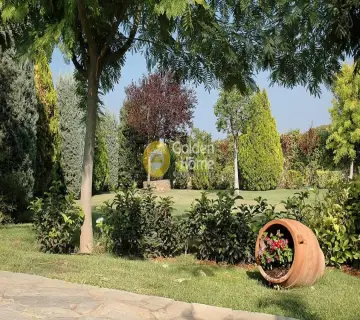 Golden Home Property Image