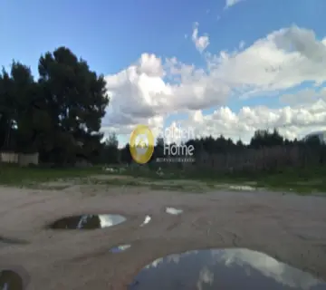Αγροτεμάχιο 50941τ.μ. προς πώληση φωτογραφία 1