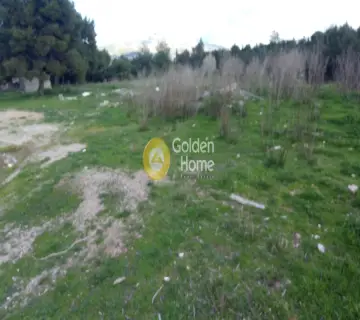 Αγροτεμάχιο 50941τ.μ. προς πώληση φωτογραφία 6