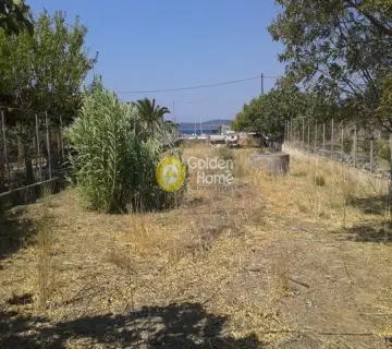 Professional Plot 768m<sup>2</sup> for rent photo 3