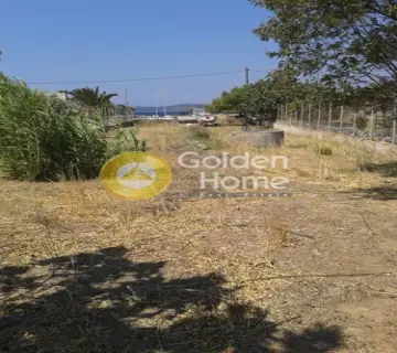 Professional Plot 768m<sup>2</sup> for rent photo 4