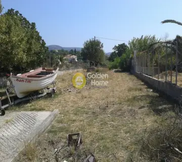 Professional Plot 768m<sup>2</sup> for rent photo 7