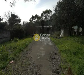 Residential 1465m<sup>2</sup> for sale photo 2