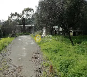 Residential 1465m<sup>2</sup> for sale photo 3