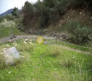 Parcel 21560m<sup>2</sup> for sale photo 3