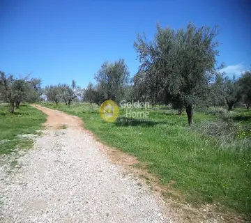 Parcel 2343m<sup>2</sup> for sale photo 4