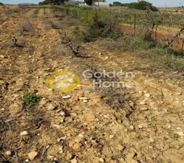 土地 766m<sup>2</sup> for sale photo 3