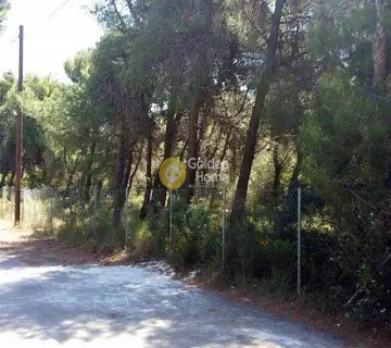 Residential 1000m<sup>2</sup> for sale photo 1