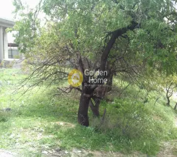 Professional Plot 783m<sup>2</sup> for sale photo 6