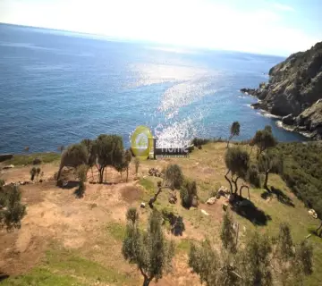 Professional Plot 14000m<sup>2</sup> for sale photo 3