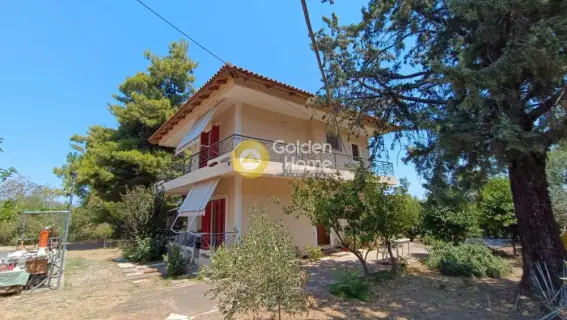 House 135m<sup>2</sup> for sale photo 5