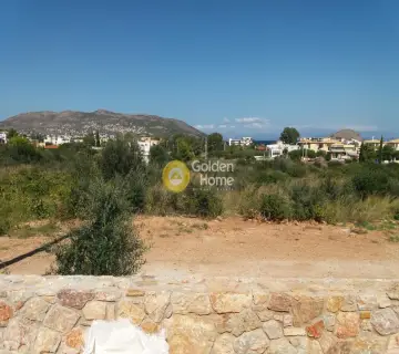 Οικιστικό 3650τ.μ. προς πώληση φωτογραφία 4