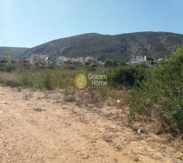 Οικιστικό 3650τ.μ. προς πώληση φωτογραφία 5