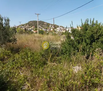 Οικιστικό 3650τ.μ. προς πώληση φωτογραφία 8