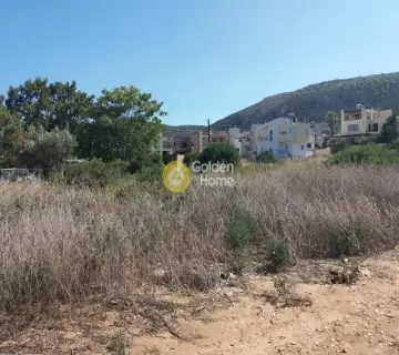 Οικιστικό 3650τ.μ. προς πώληση φωτογραφία 9