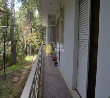 Μονοκατοικία 500τ.μ. προς πώληση φωτογραφία 1