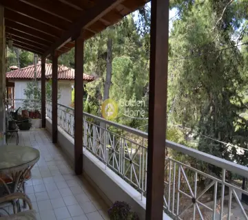 Μονοκατοικία 500τ.μ. προς πώληση φωτογραφία 19