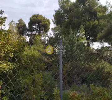 Residential 283m<sup>2</sup> for sale photo 2