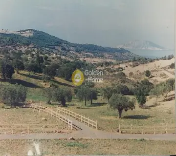 Parcel 8040m<sup>2</sup> for sale photo 1176693