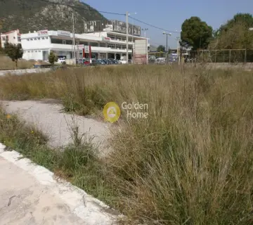 Οικιστικό 1480τ.μ. προς πώληση φωτογραφία 2