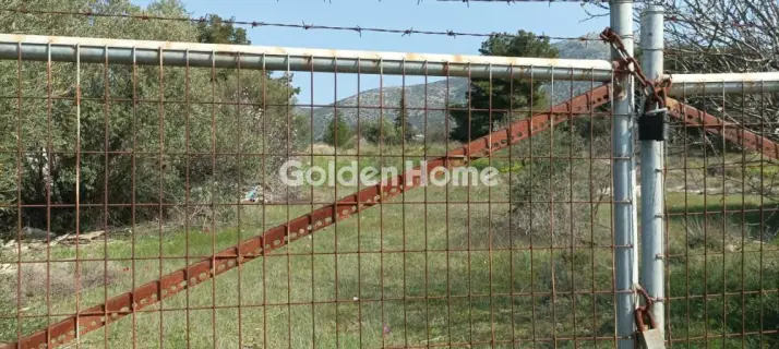 Αγροτεμάχιο 2750τ.μ. προς πώληση φωτογραφία 1