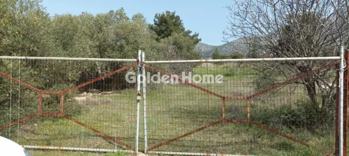 Αγροτεμάχιο 2750τ.μ. προς πώληση φωτογραφία 2