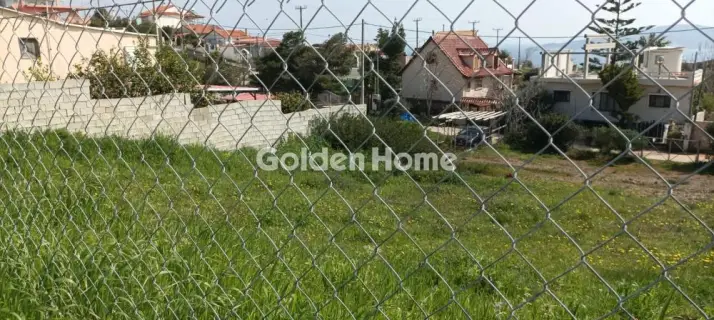 Αγροτεμάχιο 2750τ.μ. προς πώληση φωτογραφία 3