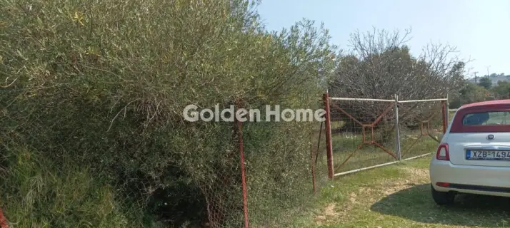 Αγροτεμάχιο 2750τ.μ. προς πώληση φωτογραφία 4