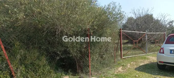 Αγροτεμάχιο 2750τ.μ. προς πώληση φωτογραφία 6