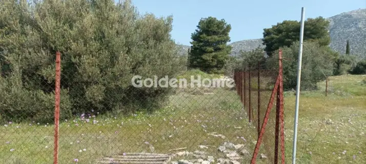 Αγροτεμάχιο 2750τ.μ. προς πώληση φωτογραφία 5