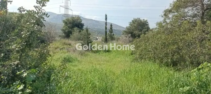 Αγροτεμάχιο 2750τ.μ. προς πώληση φωτογραφία 7