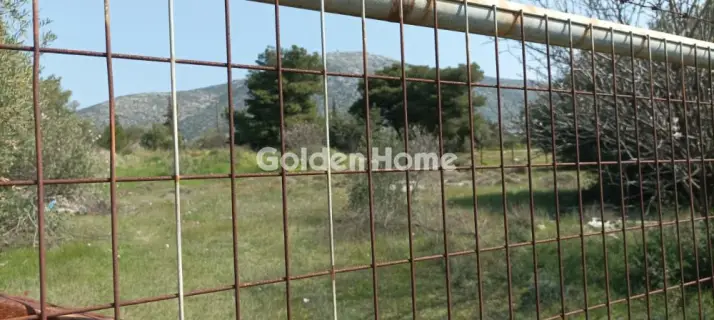 Αγροτεμάχιο 2750τ.μ. προς πώληση φωτογραφία 9