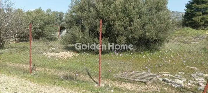 Αγροτεμάχιο 2750τ.μ. προς πώληση φωτογραφία 10