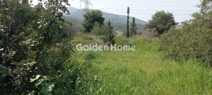 Αγροτεμάχιο 2750τ.μ. προς πώληση φωτογραφία 11