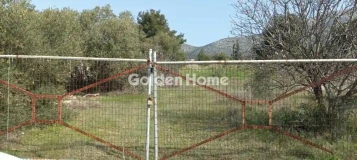 Αγροτεμάχιο 2750τ.μ. προς πώληση φωτογραφία 12