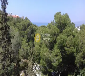 Μονοκατοικία 504τ.μ. προς πώληση φωτογραφία 44
