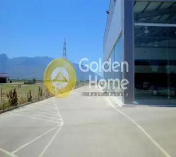 Golden Home Property Image