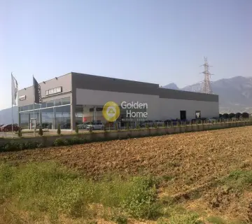 Golden Home Property Image