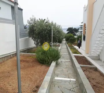 House 200m<sup>2</sup> for sale photo 1181057