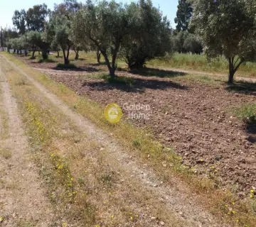 Residential 5500m<sup>2</sup> for sale photo 1