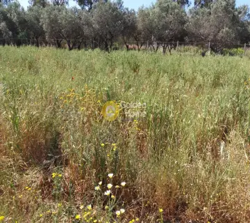 Residential 5500m<sup>2</sup> for sale photo 3