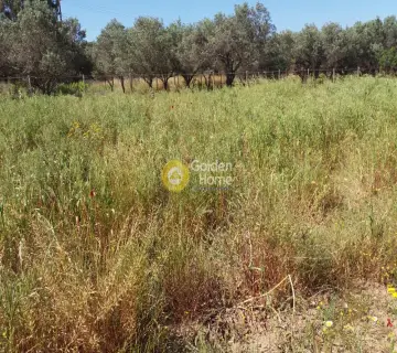 Residential 5500m<sup>2</sup> for sale photo 5