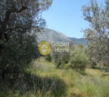 Οικιστικό 620τ.μ. προς πώληση φωτογραφία 6