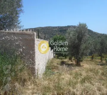 Οικιστικό 620τ.μ. προς πώληση φωτογραφία 12