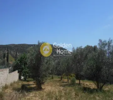 Οικιστικό 620τ.μ. προς πώληση φωτογραφία 11