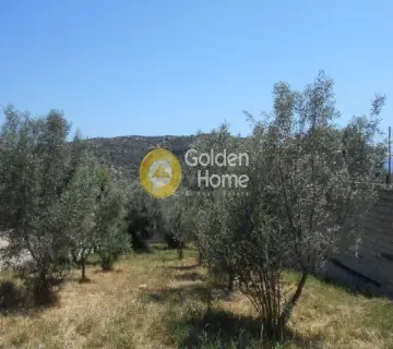 Οικιστικό 620τ.μ. προς πώληση φωτογραφία 3