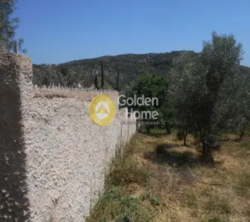 Οικιστικό 620τ.μ. προς πώληση φωτογραφία 4