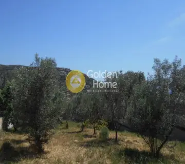Οικιστικό 620τ.μ. προς πώληση φωτογραφία 5
