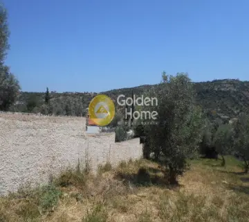 Οικιστικό 620τ.μ. προς πώληση φωτογραφία 7